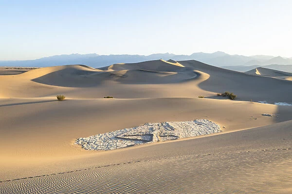 Mesquite flat sand dunes in Death Valley National Park, California, United States