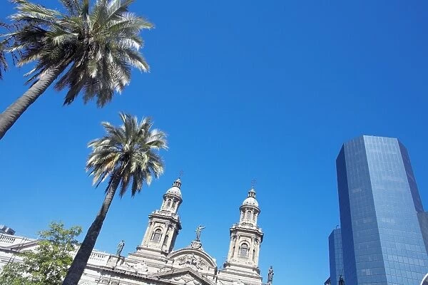 Metropolitan Cathedral, palm trees and downtown modern building, Plaza de Armas