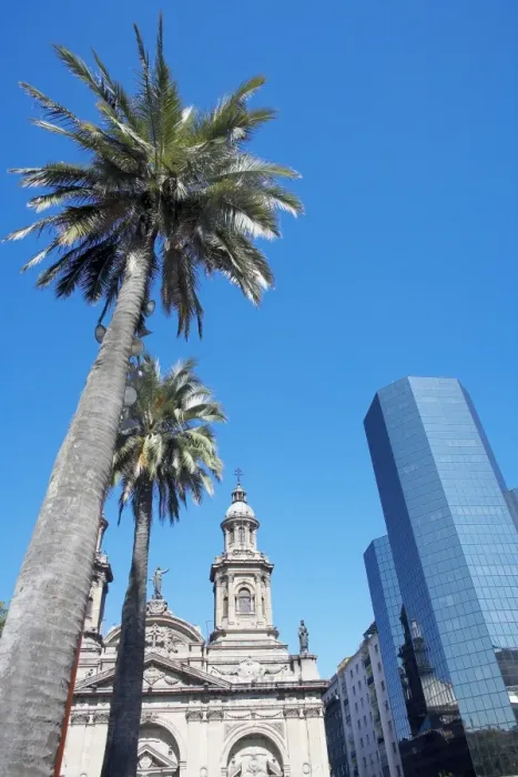 Framed Print : Metropolitan Cathedral, palm trees and downtown modern building, Plaza de Armas Framed Print : Metropolitan Cathedral, palm trees and downtown modern building, Plaza de Armas