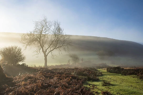 Mid-winter sunlight, and mist around Hutton Le Hole moorland village in Farndale, North Yorkshire, Yorkshire, England, United Kingdom, Europe
