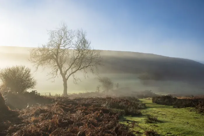Framed Print : Mid-winter sunlight, and mist around Hutton Le Hole moorland village in Farndale, North Yorkshire, Yorkshire, England, United Kingdom, Europe Framed Print : Mid-winter sunlight, and mist around Hutton Le Hole moorland village in Farndale, North Yorkshire, Yorkshire, England, United Kingdom, Europe