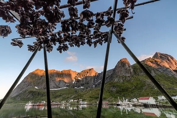 Midnight sun on dried fish framed by fishing village and peaks, Reine, Nordland county