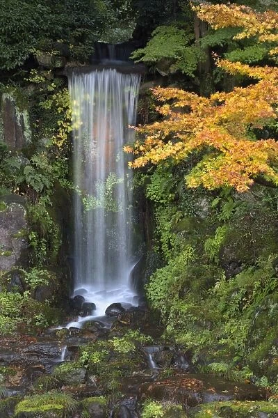 Midoritaki waterfall, Kenrokuen Garden, Kanazawa, Ishikawa Prefecture, Central Honshu