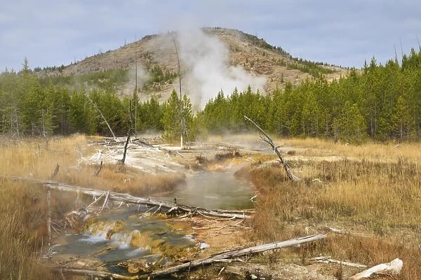 Midway Geyser Basin thermal activity from the Fairy Creek Trail, Yellowstone National Park, UNESCO World Heritage Site, Wyoming, United States of America, North America