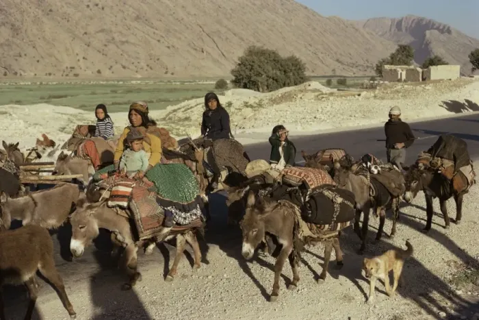 Framed Print : Migration of the Qashgai tribe Framed Print : Migration of the Qashgai tribe
