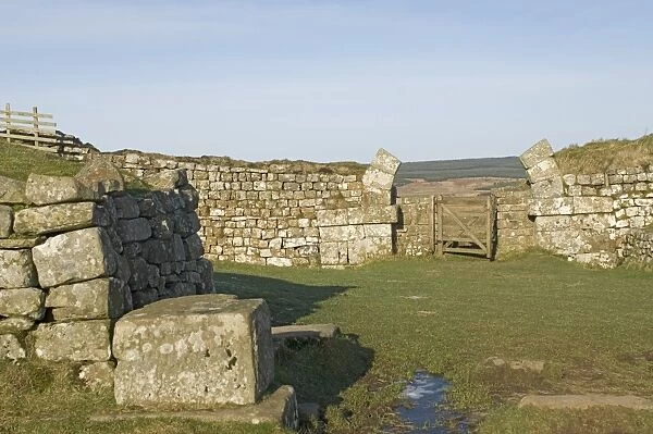 Milecastle 37, with remains of arched gateway, leading out on north side to a steep drop