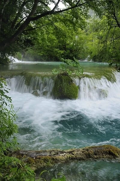 Milke Trnine waterfall overhung by trees at Plitvice Lakes National Park, UNESCO World Heritage Site, Croatia, Europe