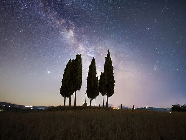 Milky way above a group of cypresses, Val d Orcia, Tuscany, Italy, Europe