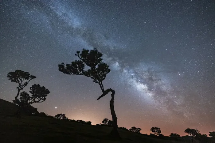 Framed Print : Milky Way on tree silhouettes in Fanal forest, Madeira island, Portugal, Atlantic, Europe Framed Print : Milky Way on tree silhouettes in Fanal forest, Madeira island, Portugal, Atlantic, Europe