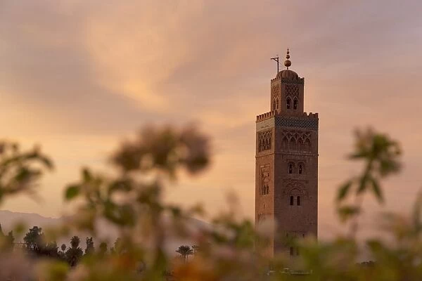 The Minaret of the Koutoubia Mosque at dawn, UNESCO World Heritage Site, Marrakech, Morocco, North Africa, Africa