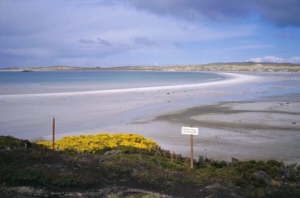 Mined beach from the Falkland war, near Stanley, Falkland Islands, South America