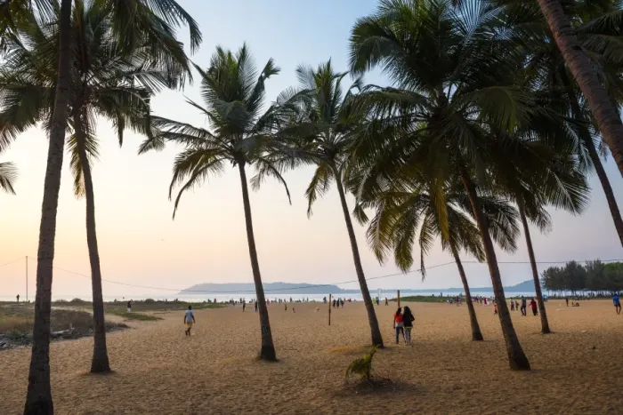 Framed Print : Miramar Beach at sunset, Panjim, Goa, India, Asia Framed Print : Miramar Beach at sunset, Panjim, Goa, India, Asia