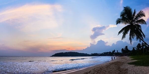 Mirissa Beach, palm tree at sunset on the Indian Ocean, South Coast, Southern Province, Sri Lanka, Asia