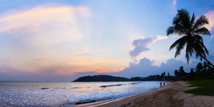 Framed Print : Mirissa Beach, palm tree at sunset on the Indian Ocean, South Coast, Southern Province, Sri Lanka, Asia Framed Print : Mirissa Beach, palm tree at sunset on the Indian Ocean, South Coast, Southern Province, Sri Lanka, Asia