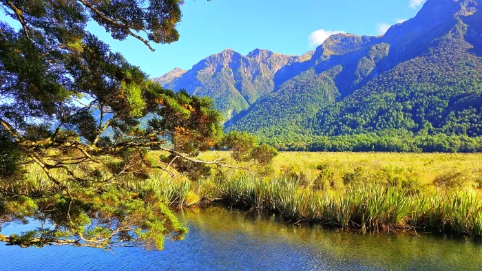 Framed Print : Mirror Lakes, near Milford, South Island, New Zealand Framed Print : Mirror Lakes, near Milford, South Island, New Zealand