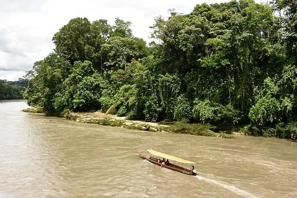 Misahualli in The Oriente, head of navigation on Rio Napo (Amazon), Ecuador, South