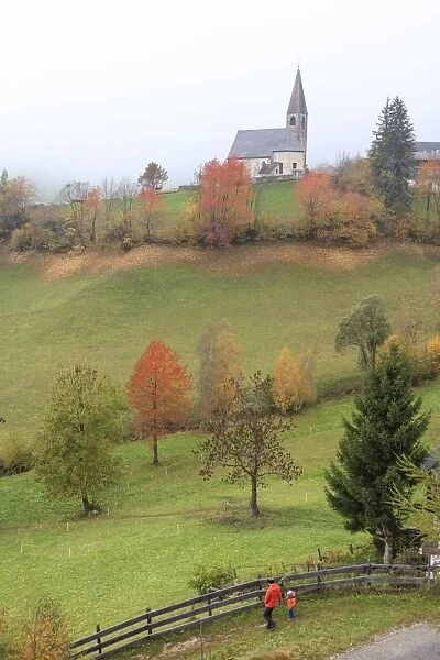 Mist and colourful trees surround the alpine church in the fall, St. Magdalena, Funes Valley