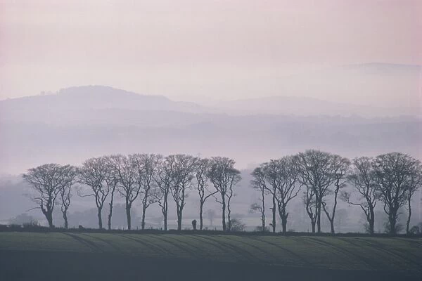 Mist over farmland and hills in winter in Devon, England, United Kingdom, Europe