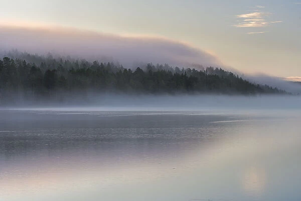 Mist over lake and forest at sunrise in autumn, Lake Toras-Sieppi, Muonio, Lapland