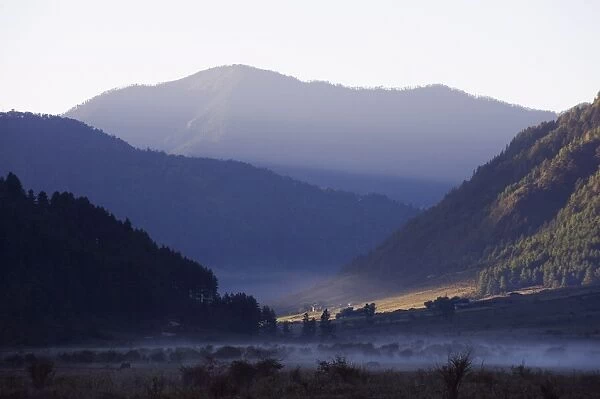 Mist in Phobjikha Valley, Bhutan, Himalayas, Asia