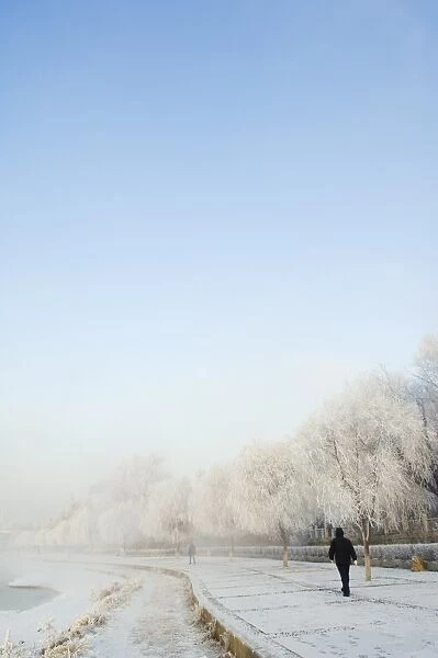 Mist rising off Songhua River and ice covered trees in winter, Jilin City