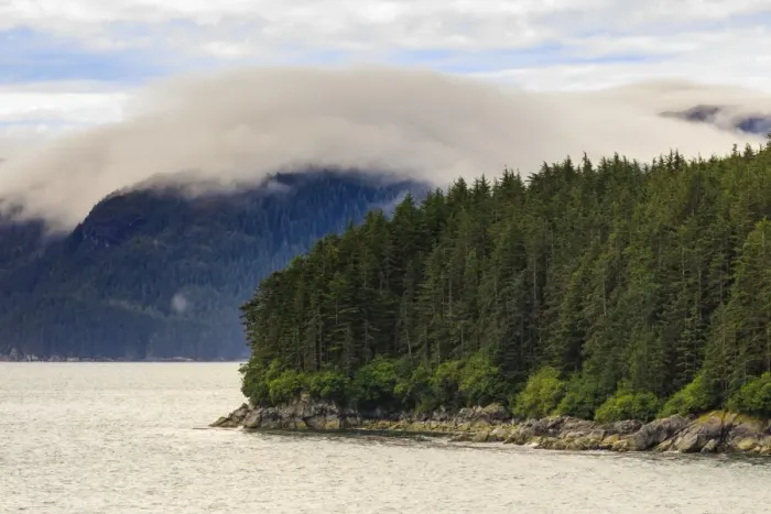 Framed Print : Mist, rocky shoreline and forest, Inian Islands, Icy Strait, between Chichagof Island Framed Print : Mist, rocky shoreline and forest, Inian Islands, Icy Strait, between Chichagof Island