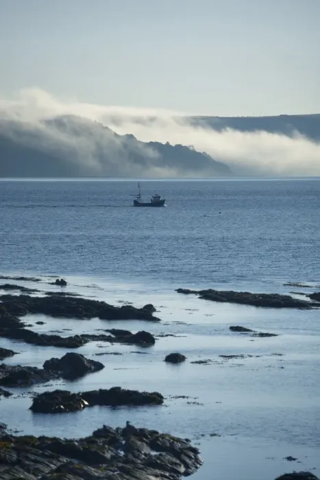 Framed Print : Mist rolling from the hills at dawn, Looe, Cornwall, England, United Kingdom, Europe Framed Print : Mist rolling from the hills at dawn, Looe, Cornwall, England, United Kingdom, Europe