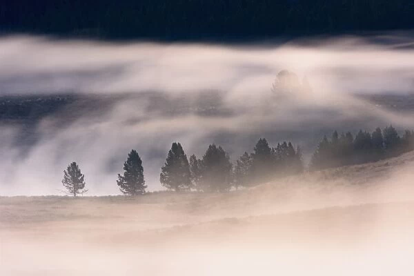 Misty dawn over Hayden Valley, Yellowstone National Park, UNESCO World Heritage Site
