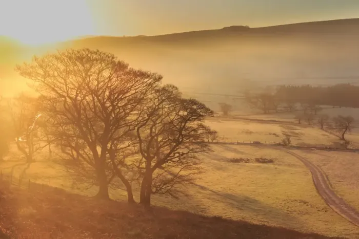 Framed Print : Misty and frosty sunrise with a copse of trees in winter, Castleton, Peak District National Park Framed Print : Misty and frosty sunrise with a copse of trees in winter, Castleton, Peak District National Park