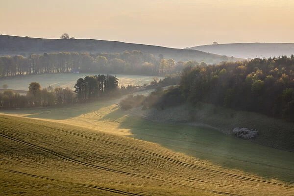 Misty landscape with Beacon Hill and Ladle Hill, Highclere
