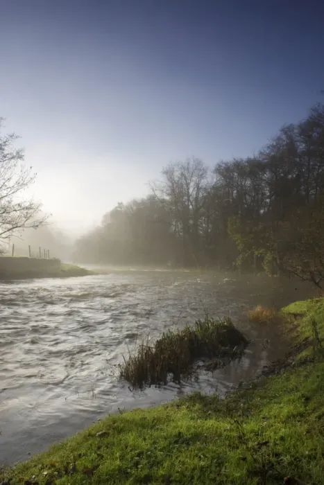 Framed Print : Misty morning, Exe Valley, Devon, England, United Kingdom, Europe Framed Print : Misty morning, Exe Valley, Devon, England, United Kingdom, Europe