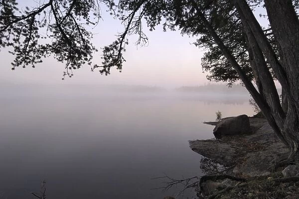 Misty morning, Malberg Lake, Boundary Waters Canoe Area Wilderness, Superior National Forest