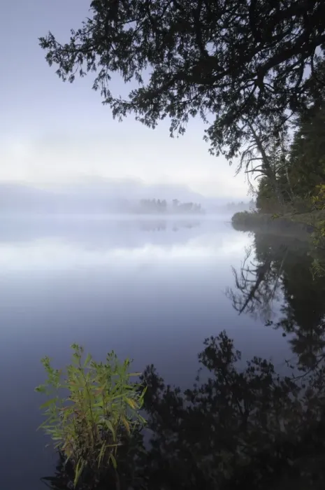 Framed Print : Misty morning, Malberg Lake, Boundary Waters Canoe Area Wilderness, Superior National Forest Framed Print : Misty morning, Malberg Lake, Boundary Waters Canoe Area Wilderness, Superior National Forest