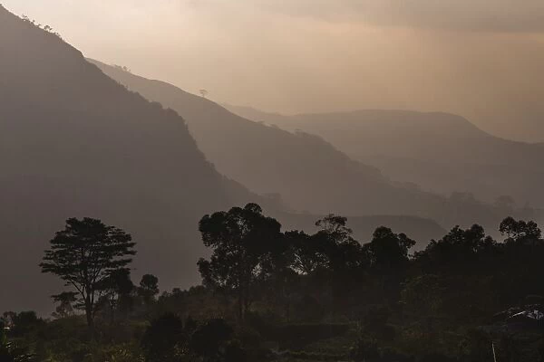Misty mountain sunrise, Haputale, Sri Lanka Hill Country, Nuwara Eliya District, Sri Lanka, Asia