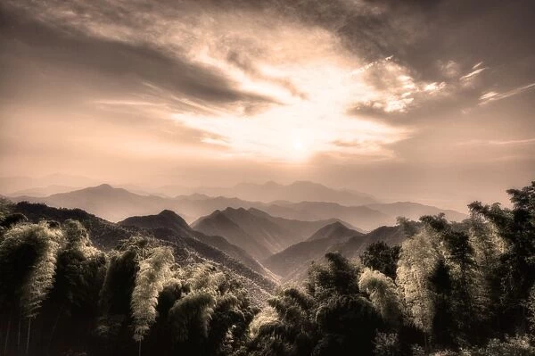 Misty mountains with Bamboo forest in a secluded region of Zhejiang, China, Asia