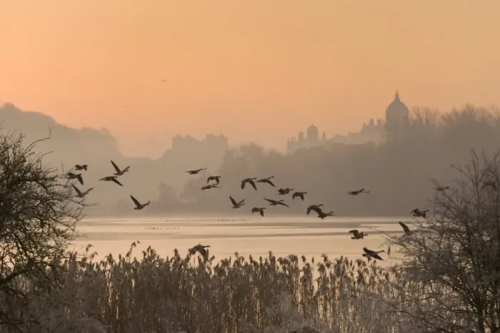 Framed Print : A misty sunrise over the Great Lake on the Castle Howard Estate, North Yorkshire Framed Print : A misty sunrise over the Great Lake on the Castle Howard Estate, North Yorkshire
