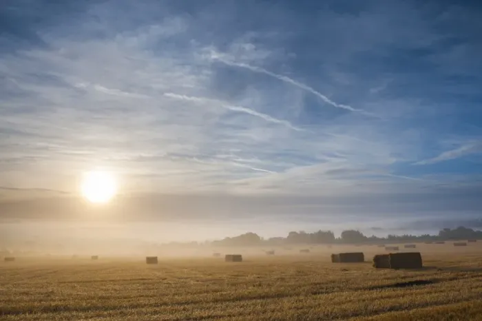 Framed Print : Misty sunrise at Longborough, a village in The Cotswolds, Gloucestershire, England, United Kingdom, Europe Framed Print : Misty sunrise at Longborough, a village in The Cotswolds, Gloucestershire, England, United Kingdom, Europe