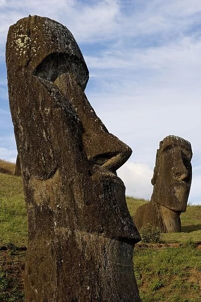 Moai in the Rano Raraku volcanic crater formed of consolidated ash (tuf)