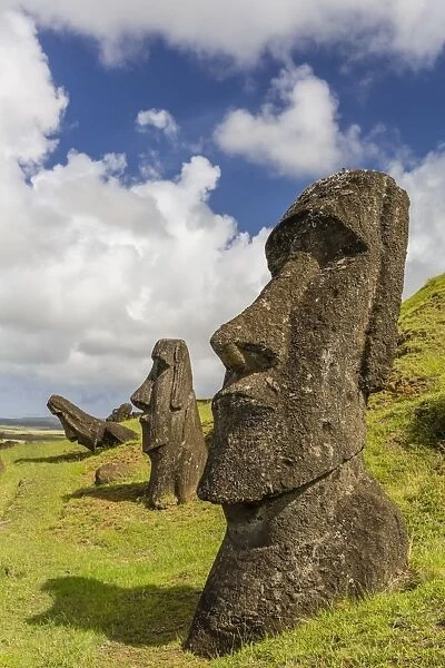 Moai sculptures in various stages of completion at Rano Raraku, the quarry site for all moai, Rapa Nui National Park, UNESCO World Heritage Site, Easter Island (Isla de Pascua), Chile, South America