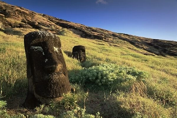 Moais, Cantera Rano Raraku, Easter Island (Rapa Nui), Chile, South America
