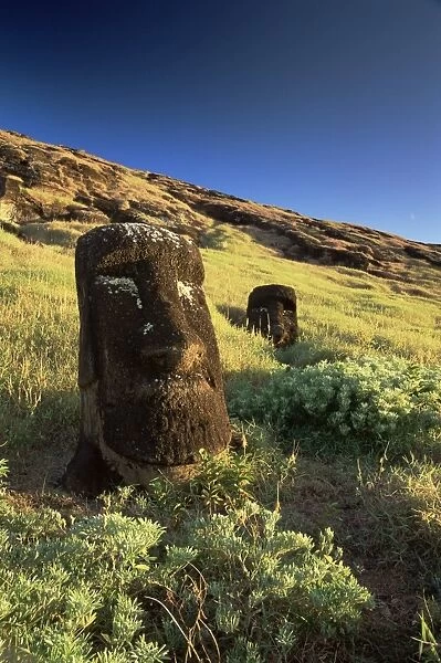 Moais, Cantera Rano Raraku, Easter Island (Rapa Nui), Chile, South America