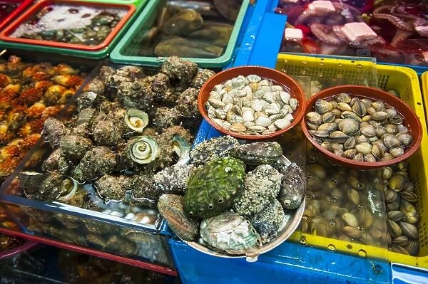 The modern fish market in Busan, South Korea, Asia