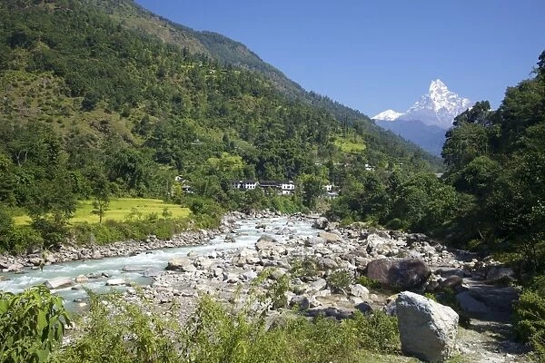 Modi River valley with views of Machhapuchhare (Fish Tail), trek from Ghandruk to Nayapul