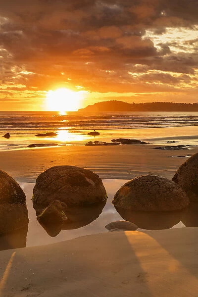 Moeraki Boulders at sunrise, Otago, South Island, New Zealand, Pacific