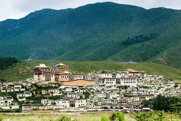 Monastery in hills, Zhongdian, Shangri-La County, Yunnan Province, China, Asia