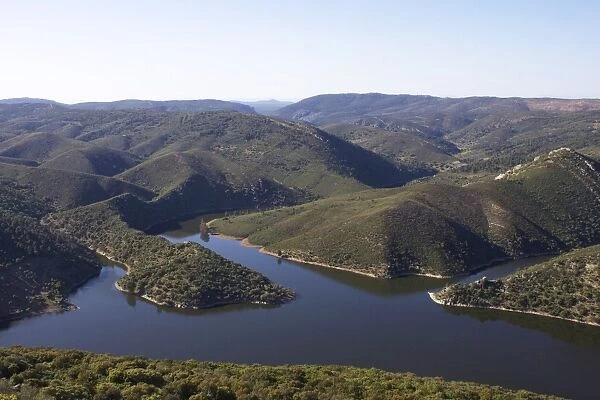 Monfrague National Park and River Tajo, Extremadura, Spain, Europe