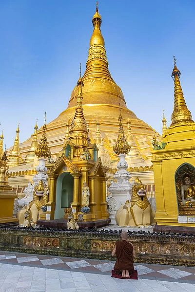 Monk praying before the Shwedagon pagoda, Yangon (Rangoon), Myanmar (Burma), Asia