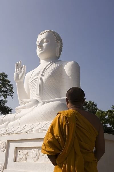 Monk standing in front of the great seated figure of the Buddha