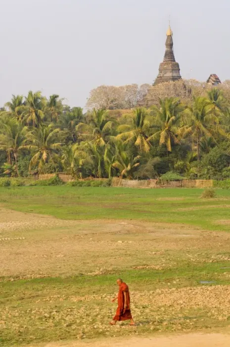 Framed Print : Monk walking past Zina-man-aung paya, Mrauk U, Myanmar (Burma), Asia Framed Print : Monk walking past Zina-man-aung paya, Mrauk U, Myanmar (Burma), Asia
