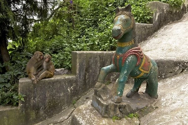 Monkeys grooming on steps to Swayambhunath Stupa (Monkey Temple), UNESCO World Heritage Site